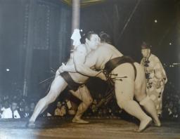 post-5242-0-65437900-1437745280_thumb.jp